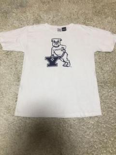 チャンピオン　Tシャツ　USA製 T1011 YALE 白　Lサイズ