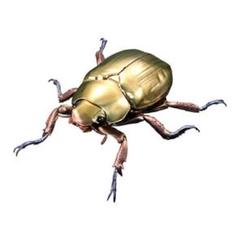 ウォルフプラチナコガネ プラチナコガネ 蟲神器 ウォルフプラチナコガネ24.5㎜ 昆虫 標本