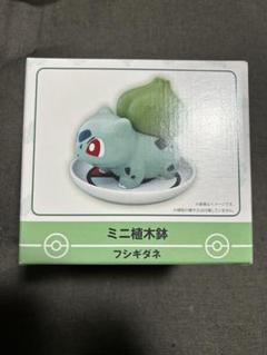 ミニ植木鉢　フシギダネ