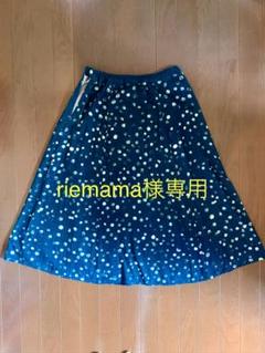 Pal'las Palace パラスパレス ウール チェック フレア スカート Pal'las Palace パラスパレス ウール チェック フレア スカート