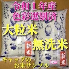 棚田の大粒米 玄米10Kg「無洗米に精米します」希少