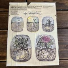 ヒグチユウコ　ボリス雑貨店　カードケース　ハンドクラフト