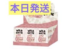 【新品未開封】【正規品】ラブブ HAPPINESS レシート画像あり 5069-2119-