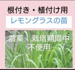 2025年最新】安心の匿名配送の人気アイテム - メルカリ