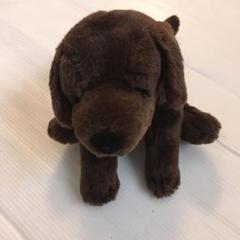 2009年　ハーレーダビッドソン　犬　ぬいぐるみ