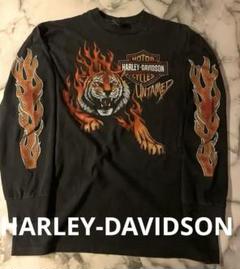 Harley-Davidson tiger fire flame