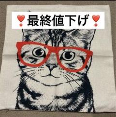メガネ　45×45 インテリア　車　可愛い　クッション　カバー 猫