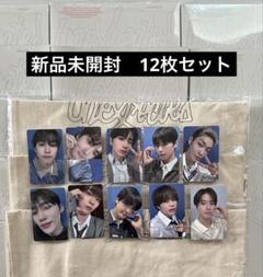 THE BOYZドボイズ unexpected アルバム 新品未開封12枚セット