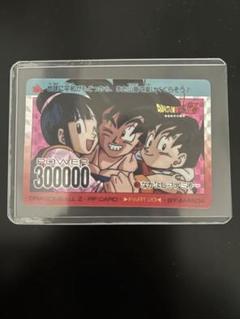 ドラゴンボール カードダス 851 仲良しファミリー アマダ PPカード