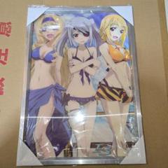 インフィニットストラトス　3D壁掛け②