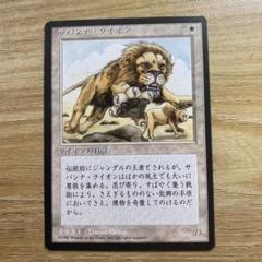 MTG Savannah　サバンナ ①　英語版　リバイズド サバンナ・ライオン/Savannah Lions》[2ED] 白R | 日本最大級