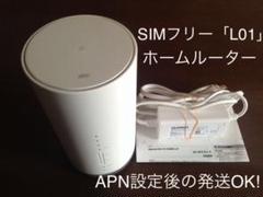 【在庫少量入荷】 ☆Speed Wi-Fi NEXT「L01」☆ ホームルーター