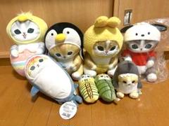 mofusand ぬいぐるみ サメにゃん 8点まとめ売り サンリオキャラクターズ 2025年最新】サメにゃん サンリオの人気アイテム - メルカリ