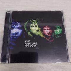 【中古】 Futile ザ・ラプチャー 2025年最新】The_Raptureの人気アイテム - メルカリ