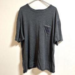 ザノースフェイスパープルレーベル半袖Tシャツ ロゴ刺繍　XL ダークグレー　レア