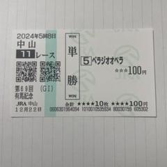 ノエ　サトノダイヤモンド　２０１６年有馬記念　現地購入単勝馬券 JRAホームページ｜データファイル｜競走成績データ