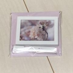 【お値下げ可】京本大我 視点と始点 アクリルフレーム 春夏秋冬 SixTONES 京本大我 アクリルフレーム 春夏秋冬 個展 視点と始点