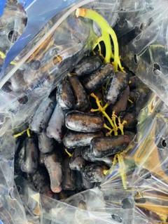 業者激安直販+冷蔵発送　豪州産約9kg 幻の葡萄　黒葡萄 手指葡萄　蓝宝石 新入荷♪常温便【蓝宝石葡萄幻のぶどう2kg】空運輸入フルーツ 最