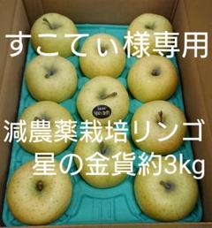 【すこてぃ様専用】減農薬栽培リンゴ 星の金貨約3kg