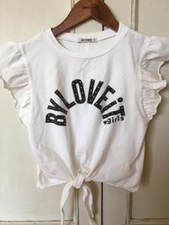 パイラビット Tシャツ