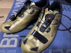 SIDI sixty GOLD 60周年モデルEU43 s-l400.jpg