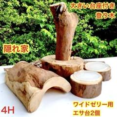 2025年最新】樹洞加工の人気アイテム - メルカリ