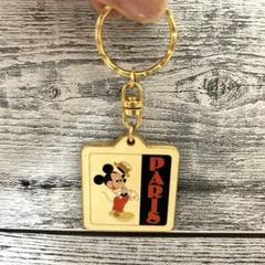 パリディズニー　ストラップ ディズニーランドパリ限定！ネックストラップ＆チケットホルダー