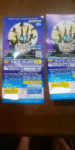 木下大サーカス 豊川 チケット 2枚