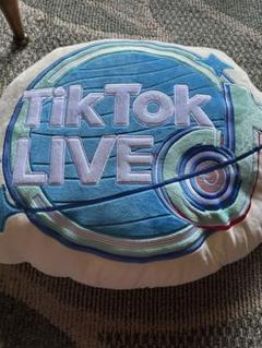 早い者勝ちTikTok非売品　巨大クッション
