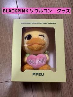 BLACKPINK PINK ブラックピンク　2025ソウルコン　グッズ