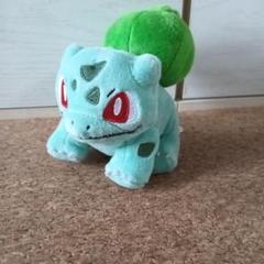 フシギダネ ぬいぐるみ