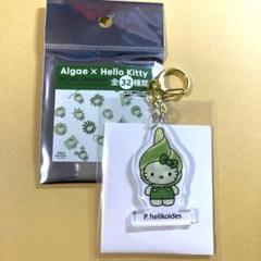 ハローキティ 関西大阪万博 日本館限定 キーホルダー 藻類