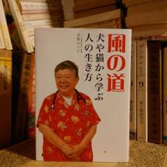 風の道 犬や猫から学ぶ人の生き方 / 宮野のり子 / 実業之日本社