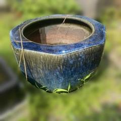 青色 八角形 火鉢 八角形 火鉢 陶器製 2個セット 骨董 手あぶり - メルカリ