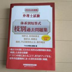 2024年度版 弁理士試験 体系別短答式 枝別過去問題集