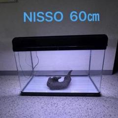 2025年最新】ニッソー 60cm ライト 水槽の人気アイテム - メルカリ