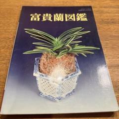 2025年最新】富貴蘭 本の人気アイテム - メルカリ