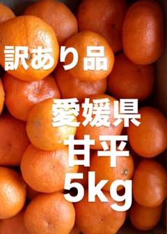2025年最新】甘平 10kgの人気アイテム - メルカリ