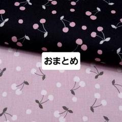 専用　　フィグ様