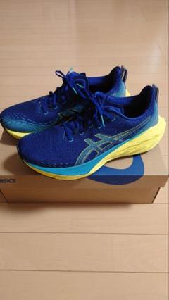 新品 レア　NOVABLAST Tokyo 28cm アシックス　ノバブラスト Asics Women's Novablast 5 Tokyo 