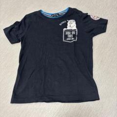 シバ犬マル Tシャツ 黒 130