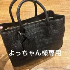 よっちゃん様専用ページ admj クロコバッグ 未使用 - メルカリ