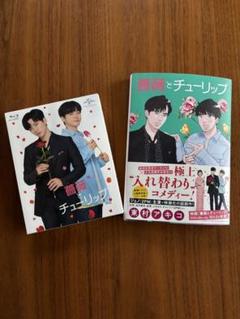 2PMジュノ主演映画 薔薇とチューリップBluRay＋原作コミック