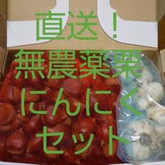 直送! 無農薬 栗 にんにく セット!