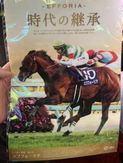 値下げ!新品 JRA ウェルカムチャンス 13種 ヒーロー列伝クリアファイル希少 Amazon.co.jp: アドマイヤムーンクリアファイルヒーロー列伝No
