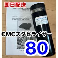 古代ソマチッド【千枚岩】 古代ソマチッド【千枚岩】