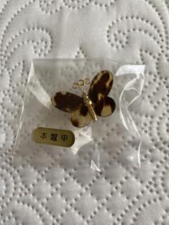 ♥新品  本鼈甲(白甲)ブローチ♥３点のおまとめ品 61L2jZqPdpL._UF350,350_QL80_.jpg