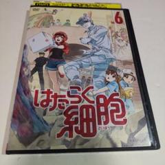 2025年最新】はたらく細胞 dvdの人気アイテム - メルカリ
