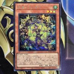 遊戯王　絢嵐たるメガラ　シークレット