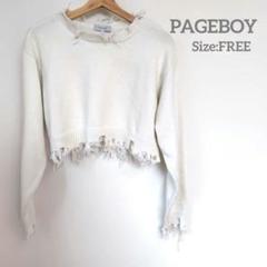 PAGEBOY ページボーイ ショート丈ニット 白 クラッシュ フリーサイズ